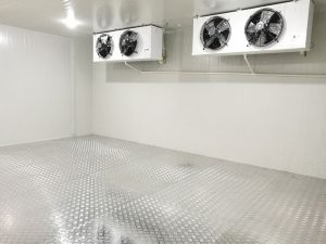 China Cold Storage Design