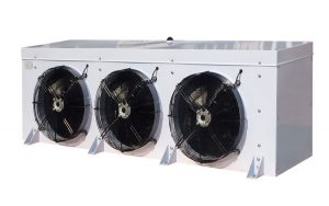 Cold Storage Equipment and Installation