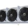 Cold Storage System for Fruits and Vegetables